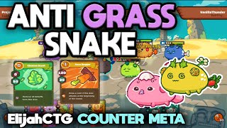 Top rank Elijah CTG build Anti grass snake Build  Axie infinity [upl. by Oicneconi]