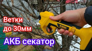 Аккумуляторный секатор для сада и огорода  обзор Denzel CP30 [upl. by Brien168]