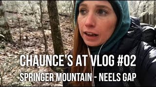 Chaunce’s AT Vlog 02 Springer Mountain to Neels Gap [upl. by Cuhp]