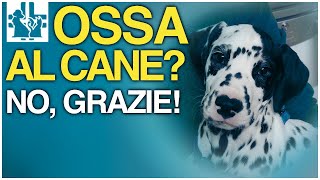 Ossa al cane NO grazie [upl. by Vivle]