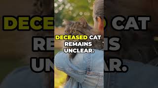 Ohio Woman Arrested for Eating Cat newsdigests ohio cats eatingcat horrible justice [upl. by Aivle]