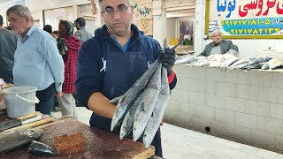 Amazing cuts of fish in Gnaveh market برش های کالباسی ماهی شیر در بازار گناوه [upl. by Waldos]