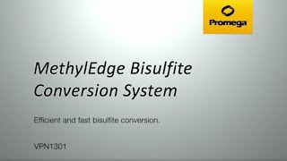 MethylEdge Bisulfite Conversion System Video [upl. by Wappes313]