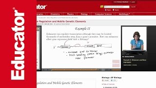 Enhancers and Gene Expression [upl. by Tripp495]