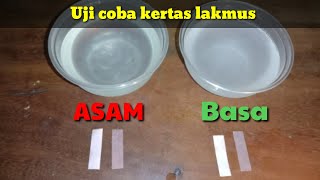 Uji PH Dengan Cairan Asam Dan Basa Pakai Kertas Lakmus Merah Dan Biru [upl. by Kary]