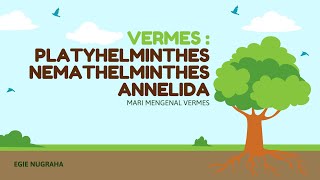 MENGENAL VERMES CACING PLATYHELMINTHES NEMATHELMINTHES ANNELIDA [upl. by Aehsila679]