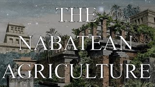 On Sages Talismans and Artificial Generation A Taste of the Nabatean Agriculture [upl. by Niehaus76]