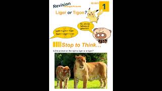 IB Bio 2025 HL Revision Through Pictures 1 Liger or Tigon tigon liger geneexpression pikachu [upl. by Lecrad]