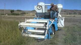 sainfoin seed harvest [upl. by Hakim]