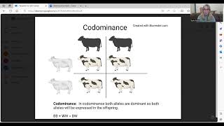 Codominance Incomplete Dominance and Punnett Squares [upl. by Nivlad736]