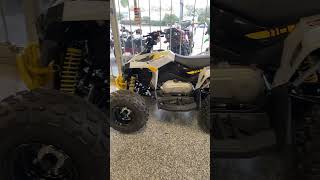 New Can Am Renegade 110 For Sale Greenville SC [upl. by Gelb]