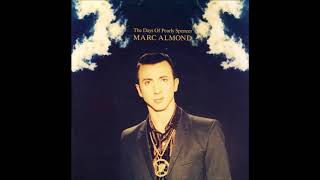 The Days of Pearly Spencer by Marc Almond an Instrumental Cover [upl. by Berkin887]