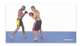 Anderson Silva Striking Combos For MMA With English Subtitles CD1 [upl. by Christos]