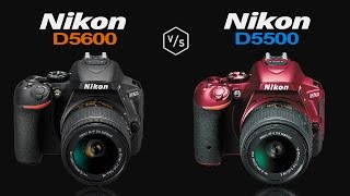 Nikon D5600 vs Nikon D5500 [upl. by Etteinotna]