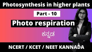 Photosynthesis in higher plants Part 10  Photorespiration biologyinkannada 1stpuc pcmb [upl. by Yankee]