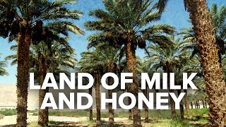 Biblical Prophecy is Being Fulfilled in the Land of Milk and Honey  Jerusalem Dateline [upl. by Holbrook]