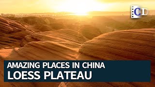 Loess Plateau a Land Formed by the Blowing Dust  Amazing Places in China [upl. by Jeanie]