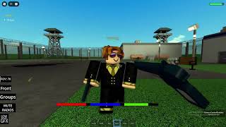 ROBLOX THE STREETS BULLYING TURK DOGS [upl. by Ahsinehs]