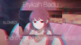 EXTENDED Erykah Badu Didnt Cha Know  Instrumental  SLOWED  REVERB [upl. by Selia]