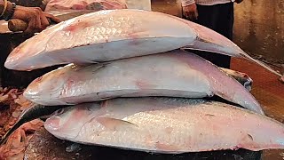 2 Kg Big HilsaIlish Fish Cutting In Bangladesh Fish Market  Fish Cutting Skills [upl. by Cullan355]