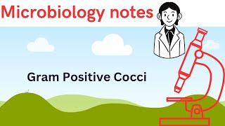 Gram positive cocci  Microbiology notes  Dr Najeeb notes [upl. by Amal]