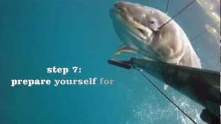 7 Βηματα για το Μουγκρι  7 steps to get a CongerSpearfishing Movie [upl. by Annez]