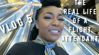 The quotReal Lifequot of a Flight Attendant  Vlog 5  REROUTES [upl. by Akiria]