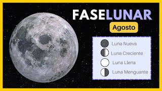 🌕 Fases de la luna agosto 2024 ✨ Calendario Lunar de agosto 2024 🌙 Luna hoy luna calendariolunar [upl. by Irene940]