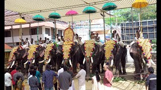 Ernakulathappan Utsavam Festival 2020 Seeveli [upl. by Florri]