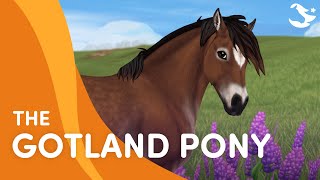 Meet the Gotland Pony 😍🐴❤️  Star Stable Breeds [upl. by Einafpets]