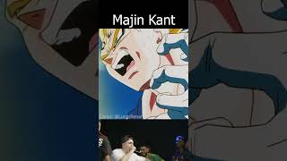 Kant vs Jotape FMS  Majin Kant [upl. by Haym14]