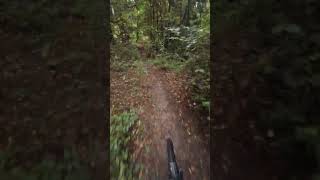 kleiner Hometrail auf YT decoy core 1 mx [upl. by Crist]