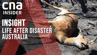 Australias Black Summer A Year On Can The Bushfires Stop Burning  Insight [upl. by Tomi]