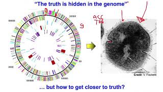 Micro24072020 Genomics Lecture 1 Video2 6 August 2020 [upl. by Merril]