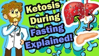 Ketosis During Fasting  Fasting Physiology Explained [upl. by Dnar]