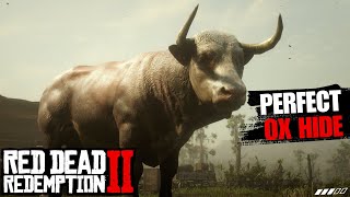 Perfect Ox Hide Pelt Best Location to Hunt  Red Dead Redemption 2 [upl. by Kcirtapnhoj]