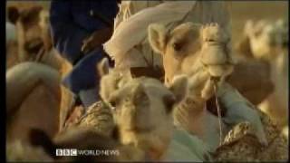 The Lost Libraries of Timbuktu 1 of 5  BBC Travel Documentary [upl. by Aelc441]