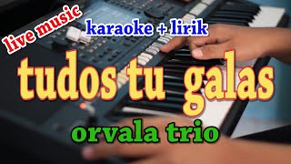 TUDOS TU GALAS KARAOKE ORVALA TRIO [upl. by Bekah]