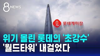 위기설 롯데 그룹 상징 월드타워 담보로 내놨다  SBS 8뉴스 [upl. by Yromem]