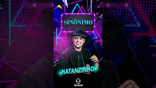 SINÔNIMO  NATANZINHO LIMA natanzinho natanzinholima sinônimos musica flyer sofrencia [upl. by Nonnahsal]