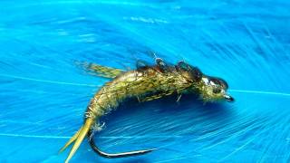 Tying a Golden Stonefly Nymph with Davie McPhail [upl. by Raddi]