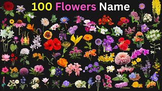 Learn 100 Flowers Name in English  Names of Flowers  Flowers Names for Kids  Flowers Vocabulary 🌺 [upl. by Laddy]