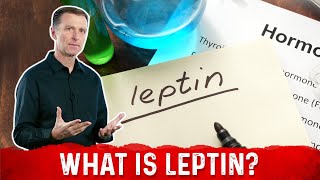 What is Leptin Explained By DrBerg [upl. by Quillon]