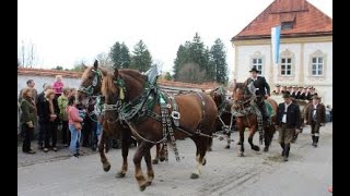 03112024  Leonhardifahrt  Benediktbeuern  Bayern  Reisen Deutschland DE [upl. by Rollo]