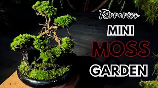 Create a Stunning Mini Moss Garden  Mossy Tree  Terrarioo [upl. by Ahsasal898]