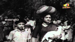 Runanubandham movie songs  Yenaatido Ee Bandham song  Nageshwar rao Anjali Devi [upl. by Einnel976]