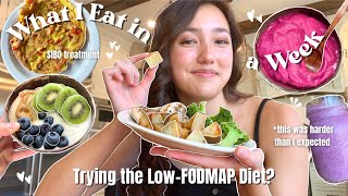 Finally Treating my SIBO  WHAT I EAT IN A WEEK amp my workouts  I tried the LowFODMAP Diet [upl. by Odyssey759]