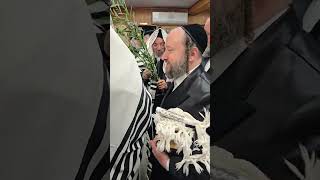 rabbi jungreis niklesbirg rebbe at shana raba2 [upl. by Nilde]