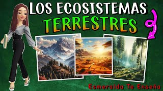 🌍🌱LOS ECOSISTEMAS TERRESTRES Sus Tipos Características Flora y Fauna 🌳🐘 [upl. by Hubey]