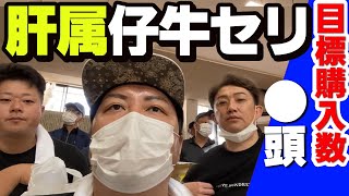 【鹿児島仔牛セリ】肝属中央家畜市場の仔牛セリに突撃取材に行ってみた！ [upl. by Eloci]